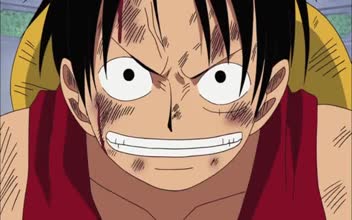 One Piece Episode 307