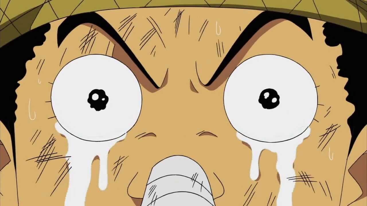 One Piece Episode 310