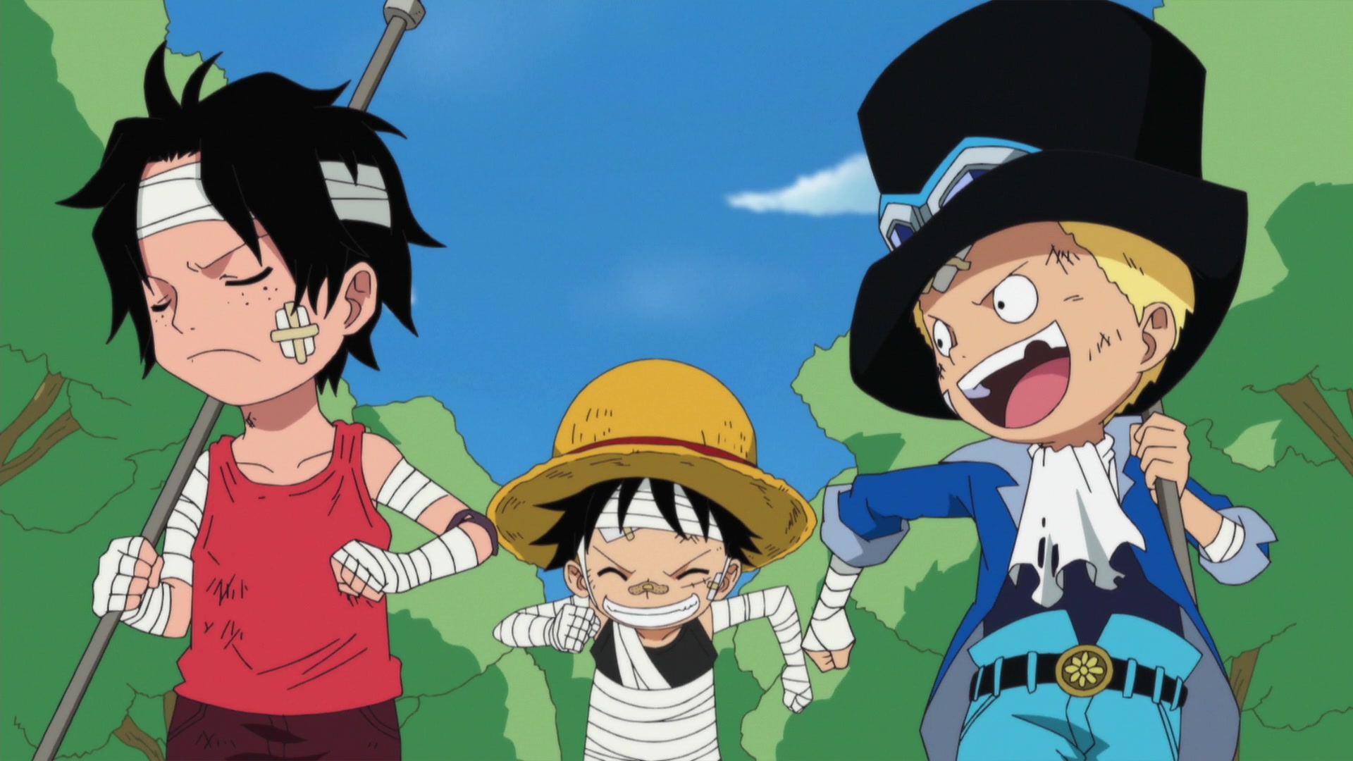 One Piece Episode 495