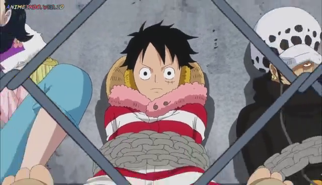 One Piece Episode 599