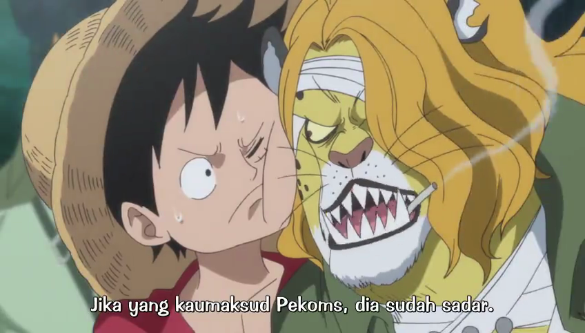 One Piece Episode 765