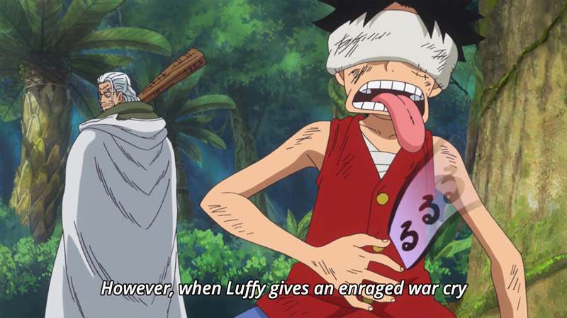 One Piece Episode 865